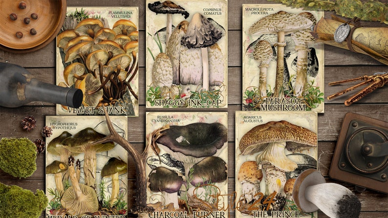 Vol 2 Edible Mushrooms Index, Double Sided Scrapbook Ephemera 3x4 Journaling Cards, Digital Collage, printable, Fungi, mycology, fungus, DIY image 4