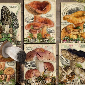 Vol 2 Edible Mushrooms Index, Double Sided Scrapbook Ephemera 3x4 Journaling Cards, Digital Collage, printable, Fungi, mycology, fungus, DIY image 2