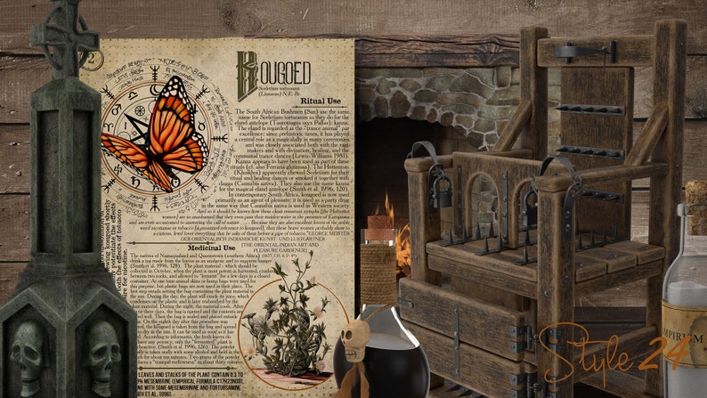 May include: A vintage, wooden, medieval torture chair with metal spikes and a lock. A dark, glass bottle with a skull stopper sits in front of the chair. A parchment paper with a butterfly and text about "Kouged" is in the background.