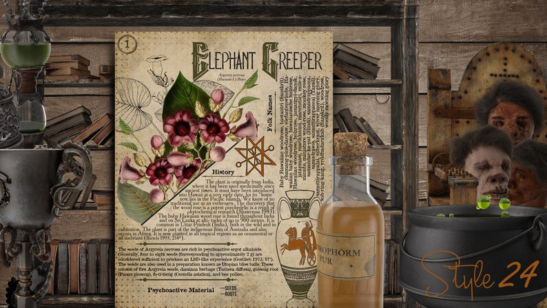 May include: A vintage style illustration of a plant called Elephant Creeper with pink flowers and green leaves. The illustration is on a parchment-like background with text about the plant's history, folk names, and psychoactive material. The text includes the words "Raby Hawaiian woodrote, hantantri d chamang-plan-dalawine, Ha woolly morning glory, phytochemical, Antaka and alوع, ROPHORM PUR, Psychoactive Material".