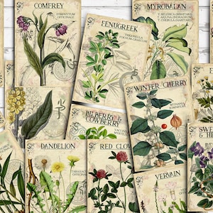 Vol 6 Herbal Index, Double Sided Scrapbook Ephemera 3x4 Journaling Cards, Digital Collage,printable Apothecary, Medicinal Herbal, Herbarium