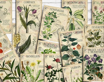 Vol 6 Herbal Index, Double Sided Scrapbook Ephemera 3x4 Journaling Cards, Digital Collage,printable Apothecary, Medicinal Herbal, Herbarium