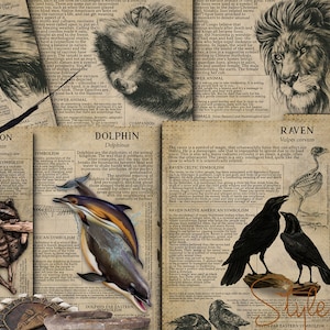 Symbiologie animale imprimable 4, Livre des ombres - animal spirituel, animal totem, animal de pouvoir, symbolisme celtique, mythologie, folklore, BOS, bricolage