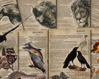 May include: A collage of vintage-style illustrations of animals, including a raven, raccoon, dolphin, lion, and a raccoon. Each animal is accompanied by text describing its symbolism in different cultures.