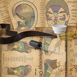 Bundle- Reflexzonen-Karten, druckbare alternative Medizinblätter, Digitaler Download, Reflexzonen-Karte, Gesundheitsseiten, Wellness, Massagen