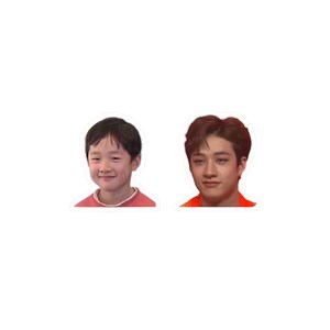 skz - bb channie sticker