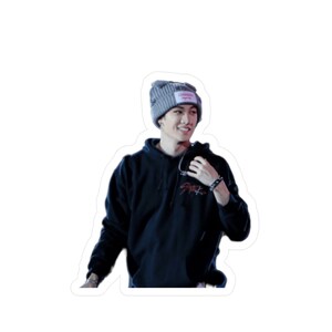 skz - channie sticker