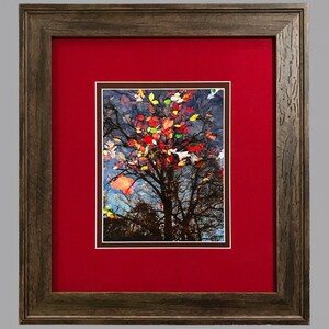 May include: Framed art print featuring a tree with colorful autumn leaves reflected in water. The artwork is set against a red mat and framed in a rustic, textured brown frame. The image captures the beauty of fall.