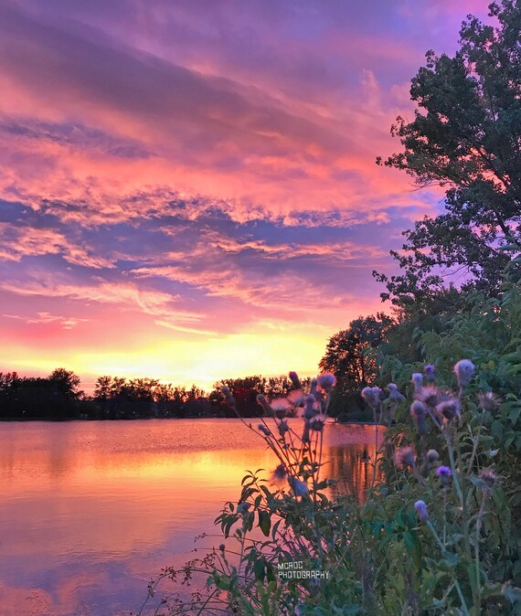 Canvas Gorgeous Sunset Reflection Lake Wildflowers Upstate Etsy
