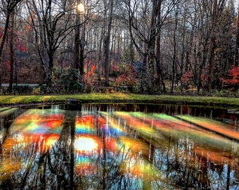 Trees Reflected, Rainbow Colors, Water Reflecting Trees, Fall Scenery, Nature, Landscape Photography, Unique Forest Image, Autumn Decor