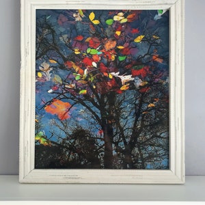 May include: Framed art print featuring a tree with colorful autumn leaves. The artwork is set against a blue background and framed in a distressed white wooden frame. The image captures the beauty of fall.