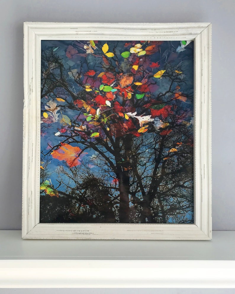 May include: Framed art print featuring a tree with colorful autumn leaves. The artwork is set against a blue background and framed in a distressed white wooden frame. The image captures the beauty of fall.