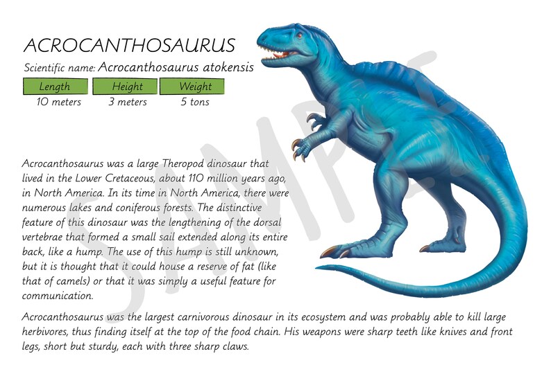 tiny carnivorous dinosaur