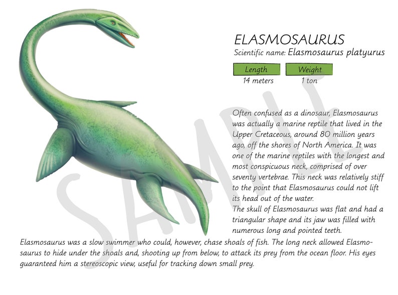 tiny carnivorous dinosaur
