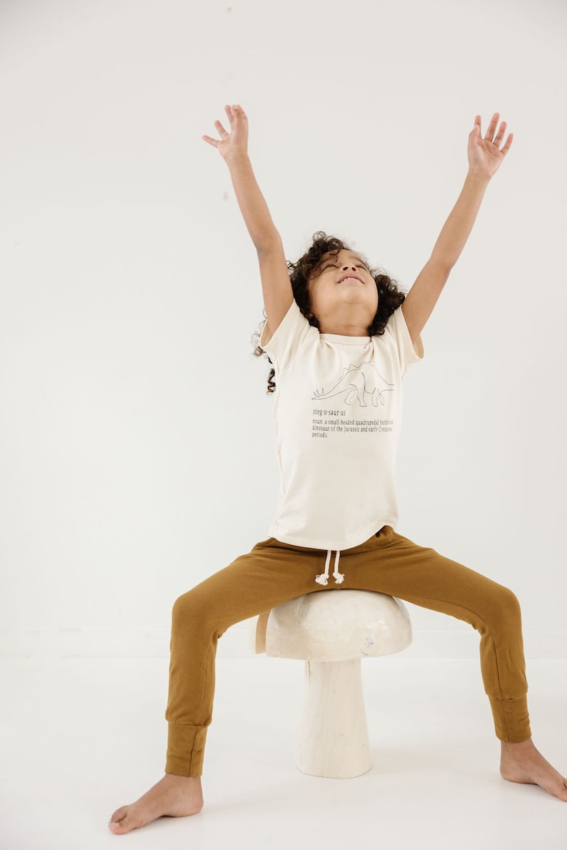 May include: A child wearing a white t-shirt with a dinosaur illustration and the text "Hysosaurus: from a small-bodied quadrupedal herbivore dinosaur of the Jurassic and early Cretaceous periods." The child is wearing brown pants and sitting on a white stool.