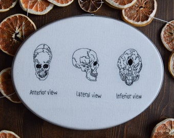 Handmade Medical Skull View Embroidery Spooky Home Decor