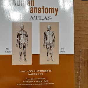 TOPOGRAPHICAL ATLAS OF HUMAN ANATOMY 4冊 Atlas of Human Anatomy, 4th Edition: 9781416036999: Medicine