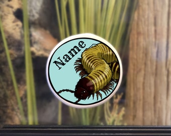 Enclosure Name Plate Ceramic - Desert Millipede