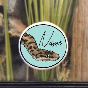 Enclosure Name Plate Ceramic - Children&#39;s Python / Antaresia