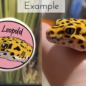 Op de afbeelding: Een roze knoop met een cartoonillustratie van een luipaardgekko met zwarte vlekken en de naam "Leopold" in het zwart.