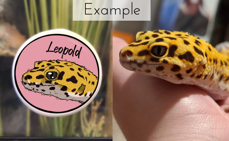 Op de afbeelding: Een roze knoop met een cartoonillustratie van een luipaardgekko met zwarte vlekken en de naam "Leopold" in het zwart.