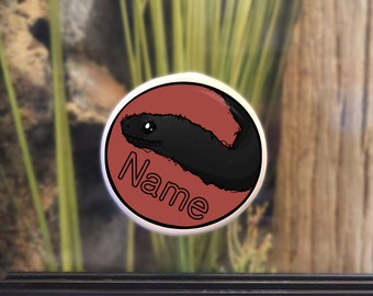 Enclosure Name Plate Ceramic - Mexican Black Kingsnake