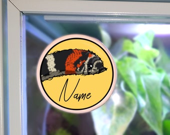 Enclosure Name Plate Ceramic - Tricolor Hognose