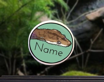 Enclosure Name Plate Ceramic - Rainbow Boa