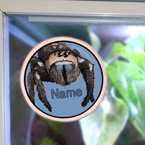 Enclosure Name Plate Ceramic - Regal Jumping Spider