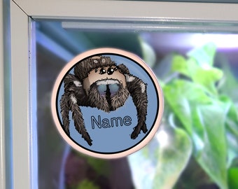 Enclosure Name Plate Ceramic - Regal Jumping Spider