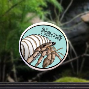 May include: A blue and white round sticker with a cartoon hermit crab and the word "Name" on it.