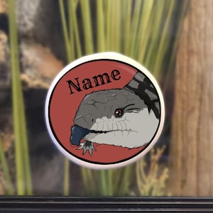 Peut inclure: Un autocollant rond rouge et blanc avec le mot "Nom" et une image de dessin animé d'un lézard à langue bleue avec un dos à motifs noir et gris.