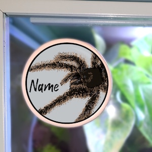 Enclosure Name Plate Ceramic - Curly Hair Tarantula
