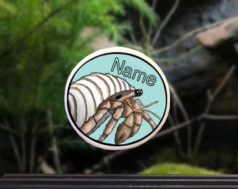 Ceramic Christmas Ornament - Hermit Crab