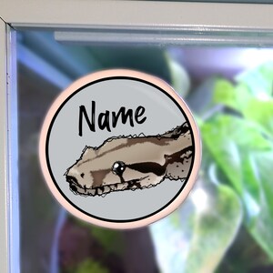 May include: A round, light gray button with a detailed illustration of a snake's head in shades of brown and black. The word "Name" is written in black script above the snake. The button is set against a background of green plants.