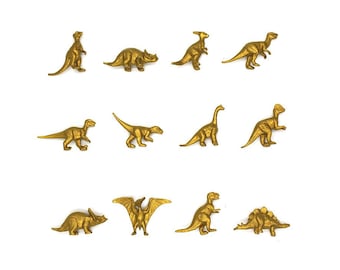 cute magnet keepsake gift card. Birthday card Dinosaur Magnet Card