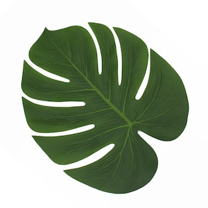 Green Palm Leaf, Glam Safari Centerpiece, Wild One Decor, Safari Baby ...