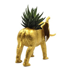 Gold Elephant Succulent Planter, Gift for Elephant Lover, Animal Planter, Elephant Home or Office Decor, Unique Planter image 6