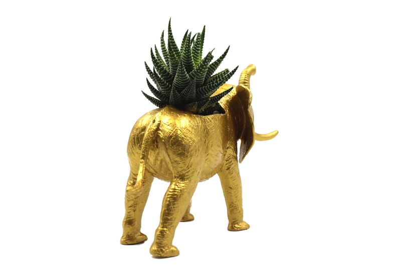 Gold Elephant Succulent Planter, Gift for Elephant Lover, Animal Planter, Elephant Home or Office Decor, Unique Planter image 6