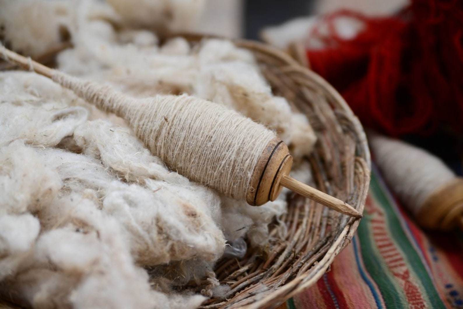 Alpaca Wool fiber Fleece. Raw fiber. GREAT value inventory Etsy