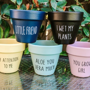 Plant Pun Pots, Punny Pots, Terra Cotta Pot, Whimsical Flower Pot, Modern Farmhouse Pot, Colorful Pots, Flower Pot, Succulent Pot, Favors