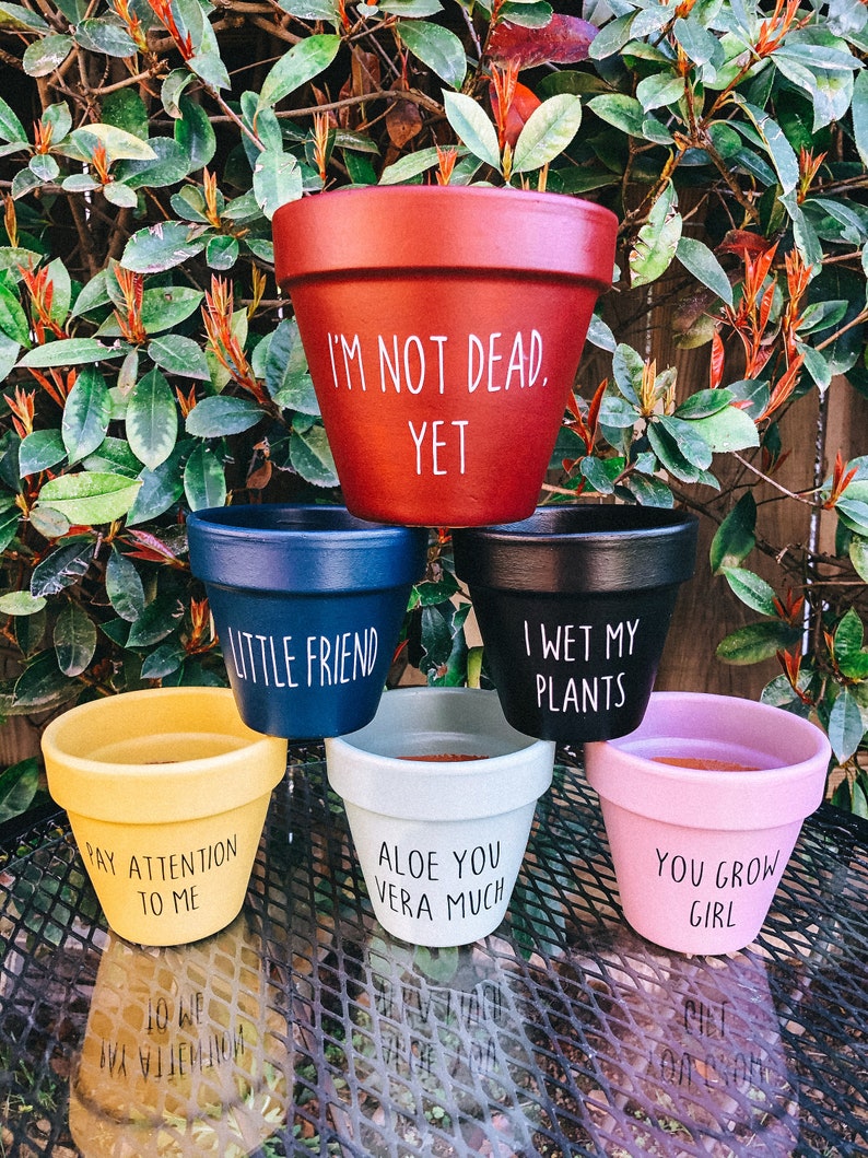 Plant Pun Pots, Punny Pots, Terra Cotta Pot, Whimsical Flower Pot ...