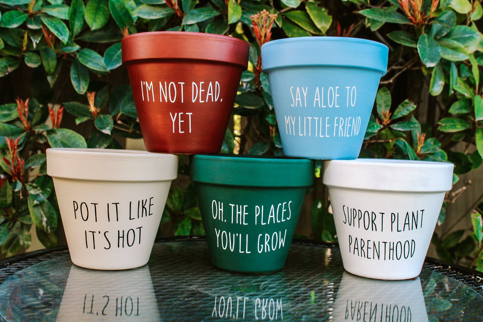 Plant Pun Pots, Punny Pots, Terra Cotta Pot, Whimsical Flower Pot ...