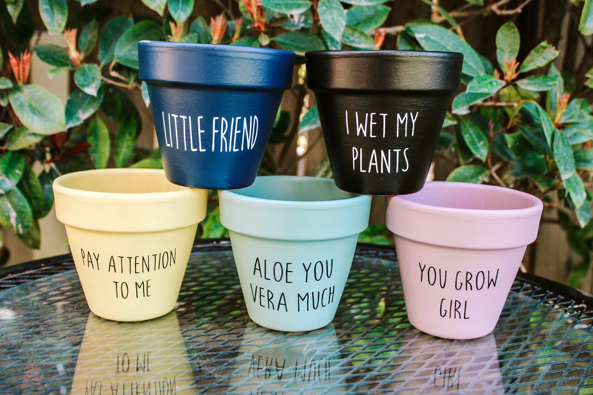 Plant Pun Pots, Punny Pots, Terra Cotta Pot, Whimsical Flower Pot, Modern  Farmhouse Pot, Colorful Pots, Flower Pot, Succulent Pot, Favors - Etsy