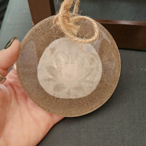 Real Oregon Sand Dollar with Sand Resin Hanger