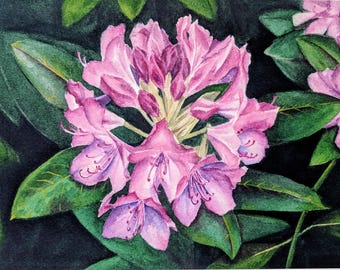 Impression de Rhododendron