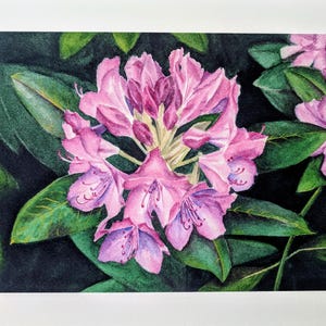 Rhododendron print