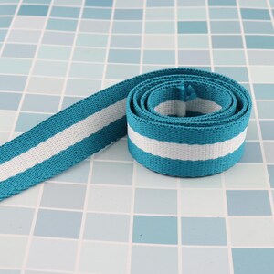 May include: A close-up of a turquoise and white striped webbing. The webbing is rolled up and has a white stripe running down the centre.