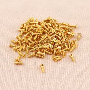 200pcs Screws Round Head Iron Screws Hinge Screws Gold Wood Screws Small Box Hardware