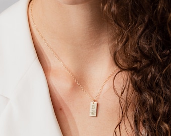 Gepersonaliseerde ketting met huisdierpootafdruk: sterling zilveren gedenkketting voor hond en kat.